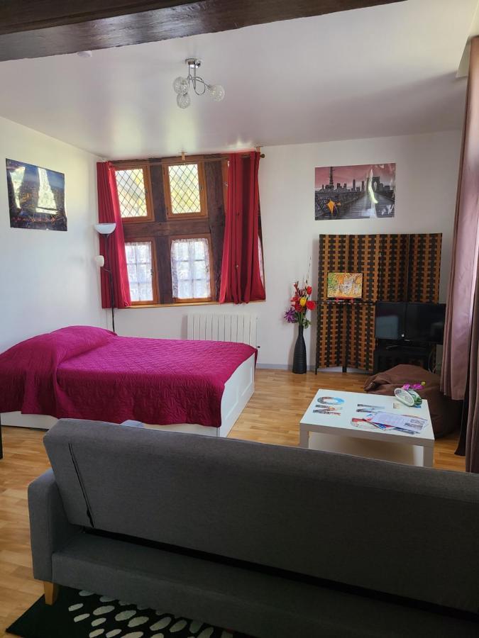 Appartement Du Vieux Troyes Zewnętrze zdjęcie