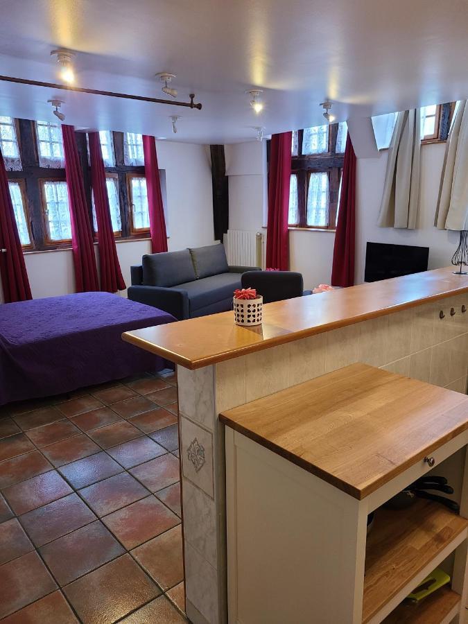Appartement Du Vieux Troyes Zewnętrze zdjęcie