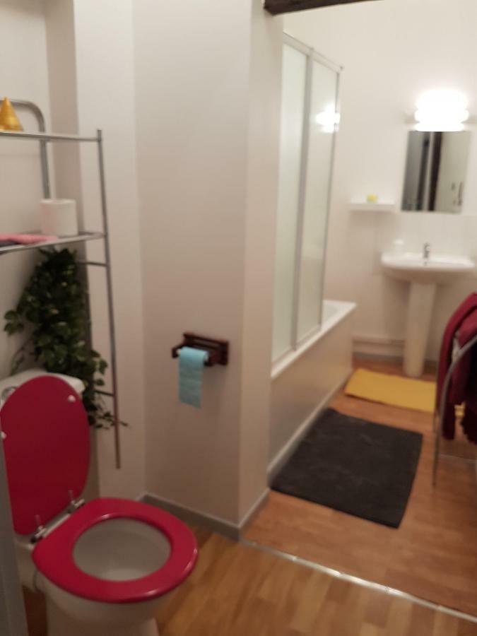 Appartement Du Vieux Troyes Zewnętrze zdjęcie