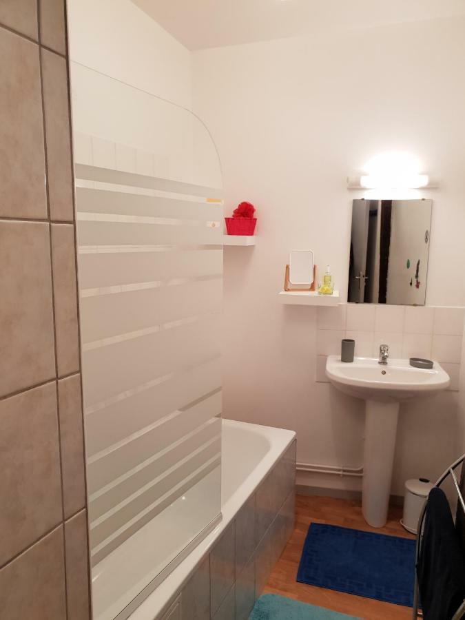 Appartement Du Vieux Troyes Zewnętrze zdjęcie